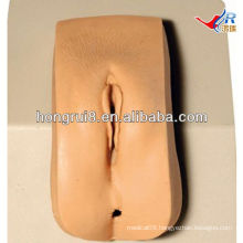 ISO Wearable Female Urethral Catheterization Simulator, female nursing